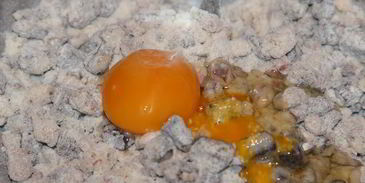 арналевское шоколадное печенье с орехами