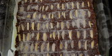 мексиканское шоколадное песочное печенье