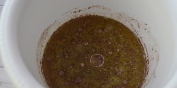 печенье на рассоле