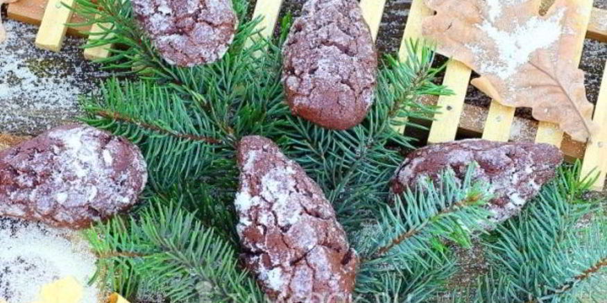 Рецепт шоколадного печенья шишки