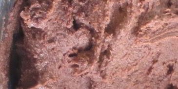 венское шоколадное печенье с фундуком