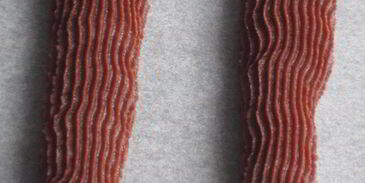 венское шоколадное печенье с фундуком