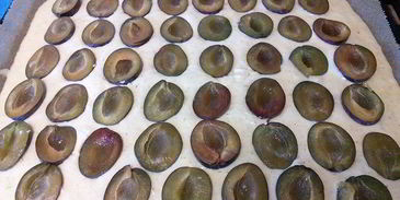 осенний сливовый пирог