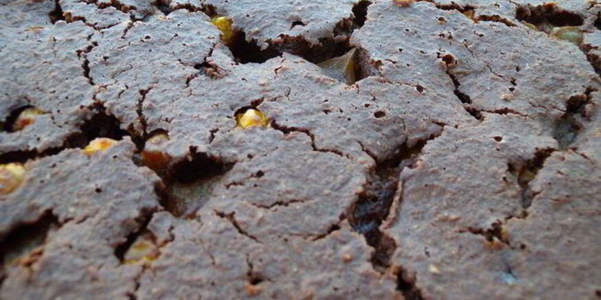 Рецепт пирога на хлопьях нордик с дыней и физалисом