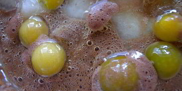 пирог на хлопьях нордик с дыней и физалисом