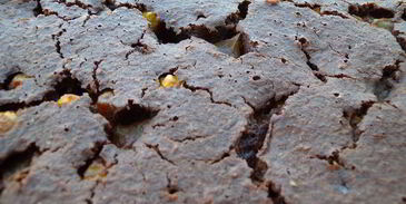 пирог на хлопьях нордик с дыней и физалисом