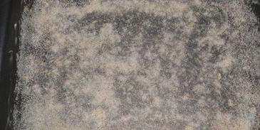 сицилийский картофельный пирог