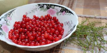 дрожжевые пирожки с ягодами в духовке