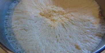 пирожки жареные