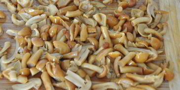 постные пирожки с маринованными опятами