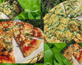 Пицца Красное и белое