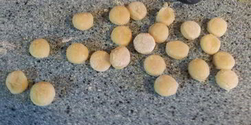 полицейские пончики