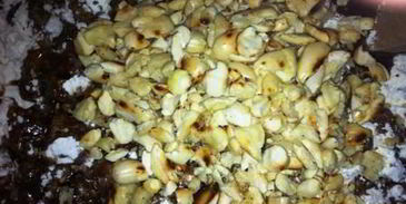 пряник из италии panpepato