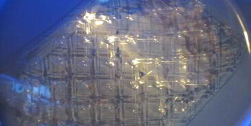 клубнично-творожная шарлотка