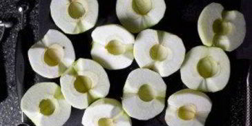 пышная шарлотка с яблоками