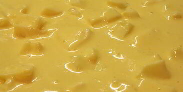 шарлотка мраморная