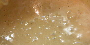 шарлотка мраморная