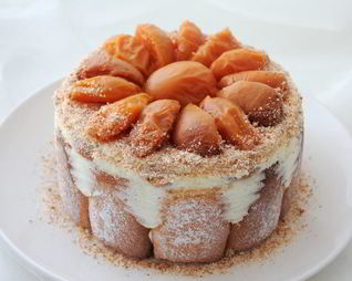 Шарлотка с английским ванильным кремом