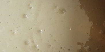 шарлотка с черной смородиной из мультиварки