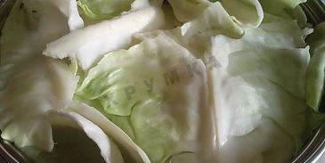 шарлотка с капустой в мультиварке