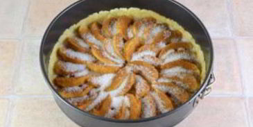 шарлотка с яблоками открытая