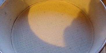 шарлотка яблочная