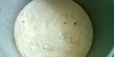 опарное дрожжевое тесто