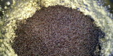 маковый торт с шоколадом и мятой