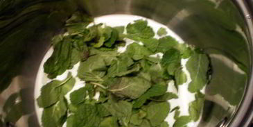 маковый торт с шоколадом и мятой