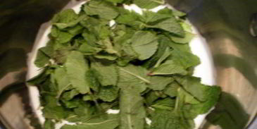 маковый торт с шоколадом и мятой