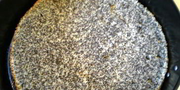 маковый торт с шоколадом и мятой