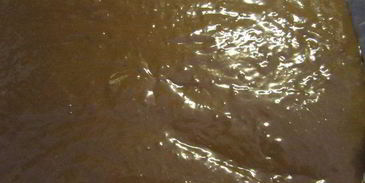 шоколадный бисквит с малиной