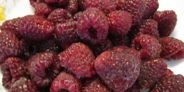 шоколадный бисквит с малиной