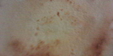 торт бисквитный с ягодным муссом и двумя волшебными кремами