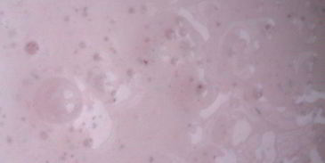 торт бисквитный с ягодным муссом и двумя волшебными кремами