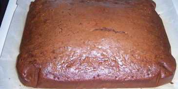 торт пинчерс