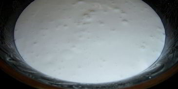 торт пинчерс