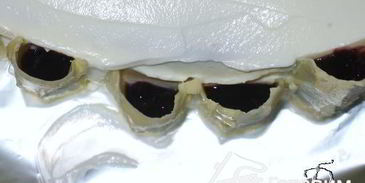 торт-витраж осеннее очарование