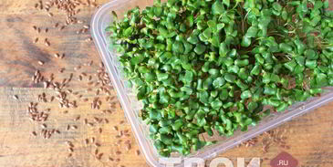 хрустящие вафли