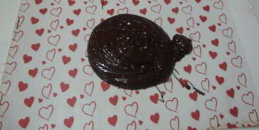 профитроли тирамису