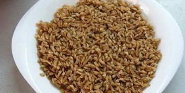 запеканка из полбы с кабачком для мультиварки