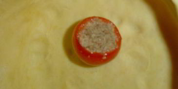 запеканка по-будапештски