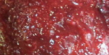 аджика из слив