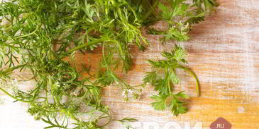 аджика из зеленого перца