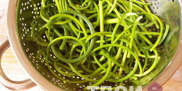 аджика из зеленого перца