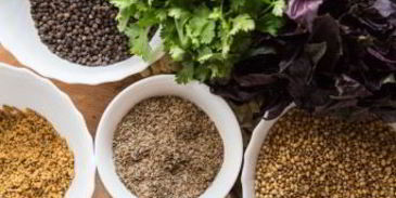 аджика кавказская на зиму