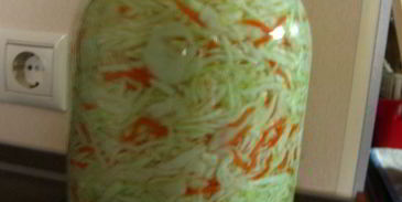 быстрая квашеная капуста