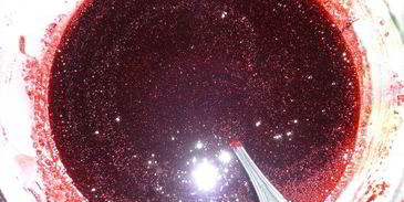 черничный джем