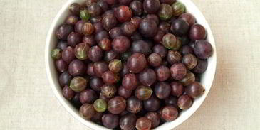 джем из красного крыжовника