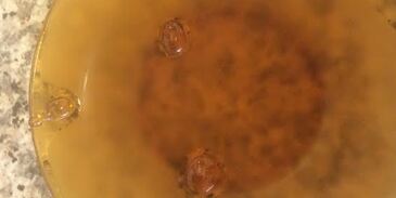 джем из персиков и нектаринов